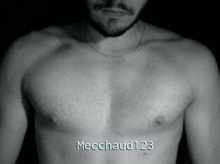 Mecchaud123