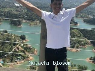 Mutachi_blosom