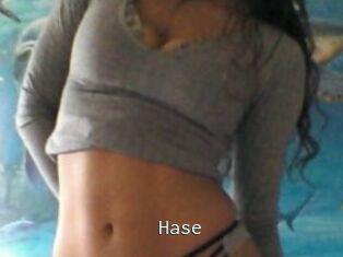 Hase