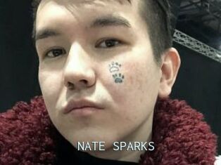 NATE_SPARKS