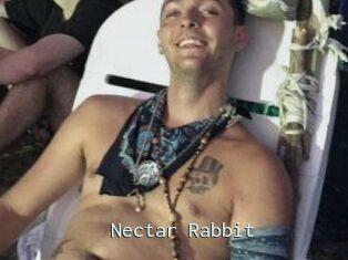 Nectar_Rabbit