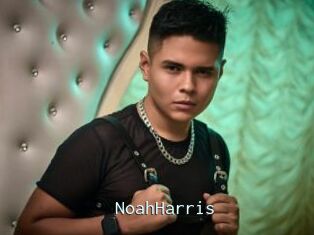 NoahHarris