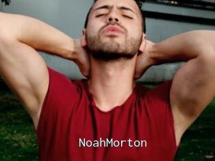 NoahMorton