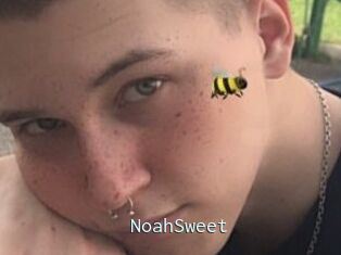 NoahSweet