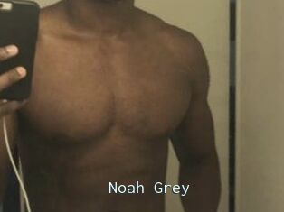 Noah_Grey