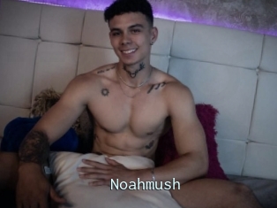 Noahmush