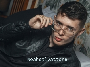 Noahsalvattore