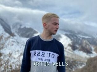 OSTIN_WELLS