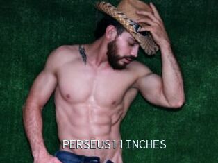 PERSEUS11INCHES