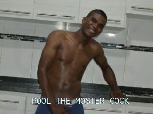 POOL_THE_MOSTER_COCK