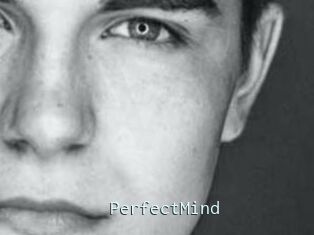 PerfectMind