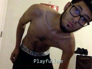 PlayfulJoe