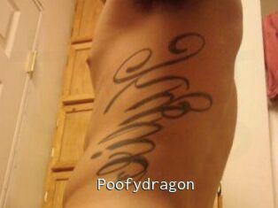 Poofydragon