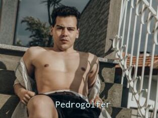 Pedrogolfer