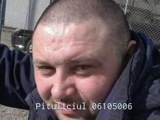 Pituliciul-06105006