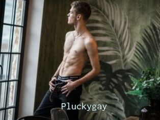 Pluckygay