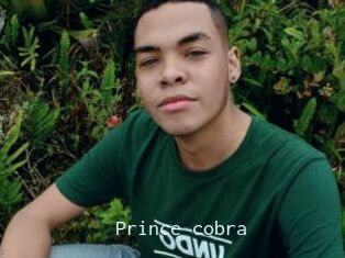Prince_cobra