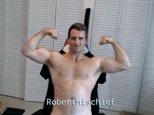RobertMischief