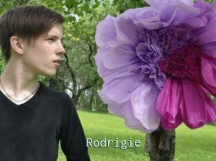 Rodrigie