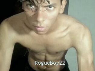 RogueBoy22
