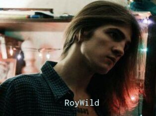 RoyWild