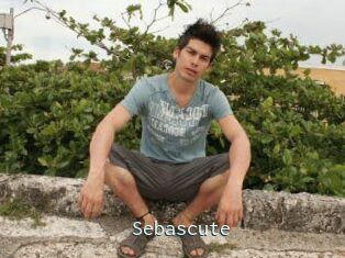 Sebascute