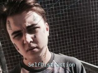SelfDistruction