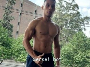 Sensei_hot