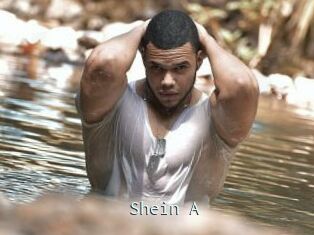 Shein_A