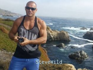 Steve_Wild