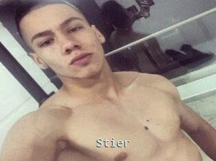 Stier