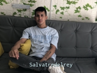 Salvatredelrey
