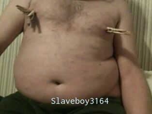 Slaveboy3164