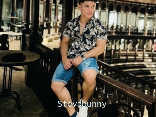 Stevebunny