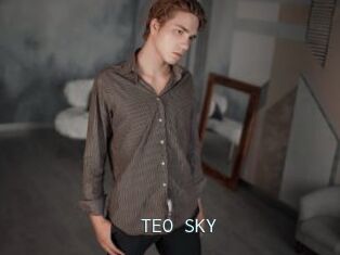 TEO_SKY