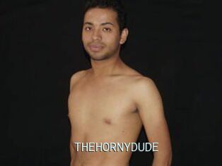 THEHORNYDUDE