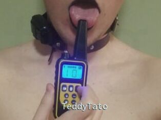 TeddyTato