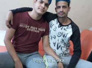 Tegusta29xx
