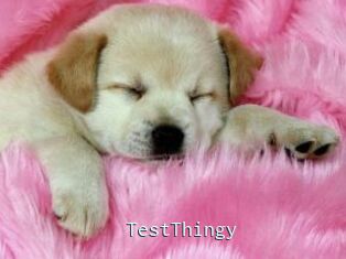 TestThingy