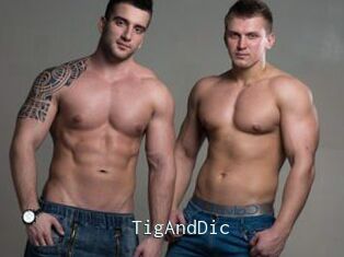 TigAndDic