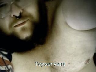 Toyservent