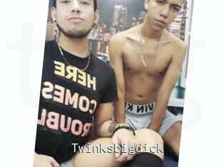 Twinksbigdick