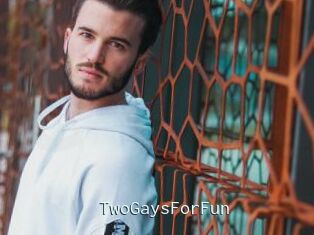 TwoGaysForFun