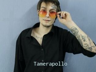 Tamerapollo