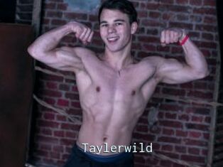 Taylerwild