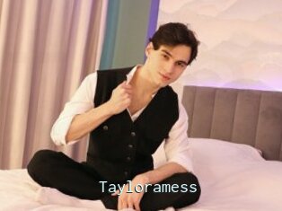 Tayloramess