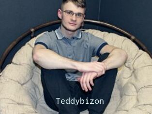 Teddybizon