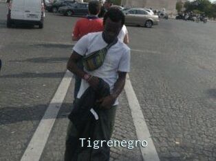 Tigrenegro