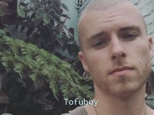 Tofu_boy