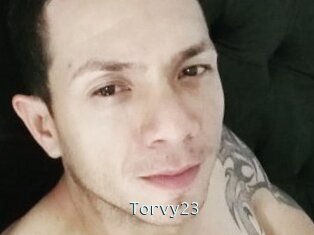 Torvy23